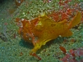 P2050059