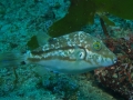 P2050078