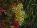 P2050083