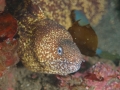 P2260279