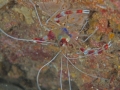 P2260290