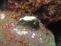 P2260296