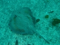 P2260308