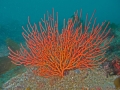 P3030003