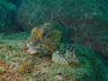 P3030013
