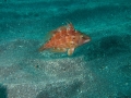 P3030032