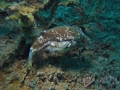 P3030034