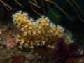P3030037