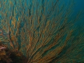 P3030038