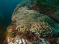 P3030041