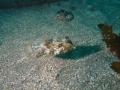 P3030051