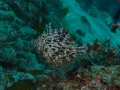 P3110019