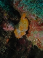 P3110034