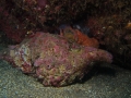 P3110038