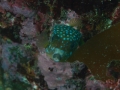 P3110054