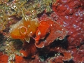 P3110058
