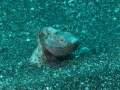 P3110066