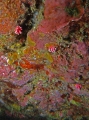 P3110069