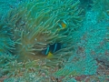 P3110073
