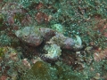 P3160063