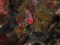 P3160065