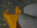 P4150006