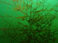 P4150011