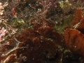 P4150027