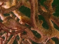 P4150049