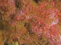 P4150054