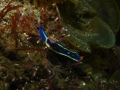 P4210014