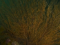 P4210015