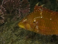 P4210020