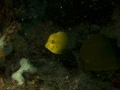 P4210024