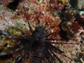 P5040027
