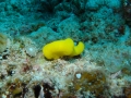 P5040029