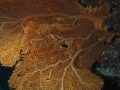 P5040055
