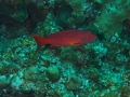 P5040056