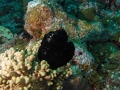 P5040061