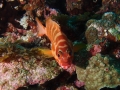 P5040075