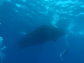 P5050102