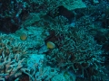 P5050117