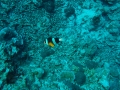 P5050144