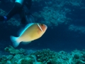 P5050152