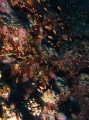 P5050166