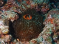 P5050169