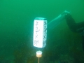 P5200020