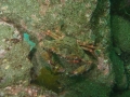 P5200021
