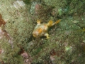 P5200024