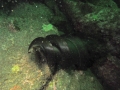 P5200029